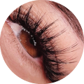 Wispy-Lashes